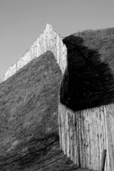 Similar image 13078016