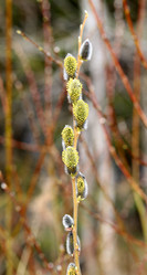 Similar image 13078041