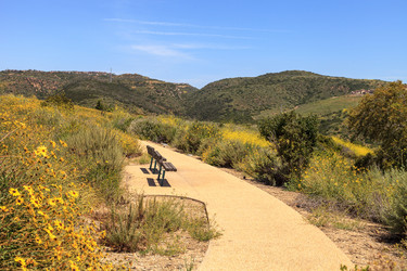 Similar image 13099627