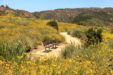 Similar image 13099664