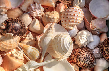 Similar image 13105589