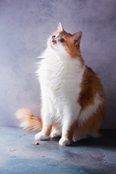 Similar image 13088938