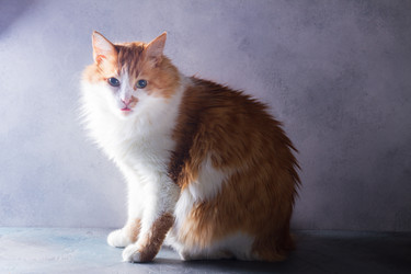 Similar image 13088939