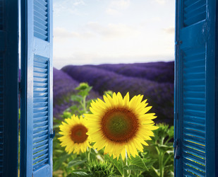 Similar image 13088921