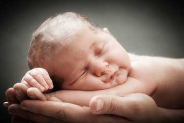 Similar image 13104524