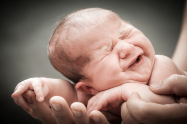 Similar image 13104606