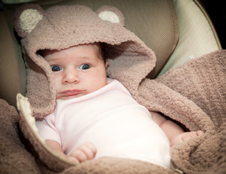 Similar image 13104611