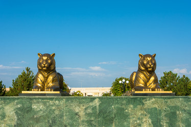 Similar image 13096994