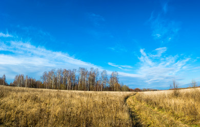 Similar image 13097006