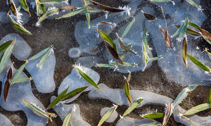 Similar image 13097007