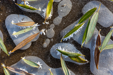 Similar image 13097009