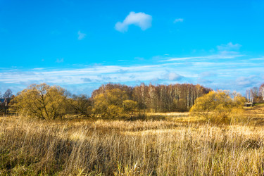 Similar image 13097013