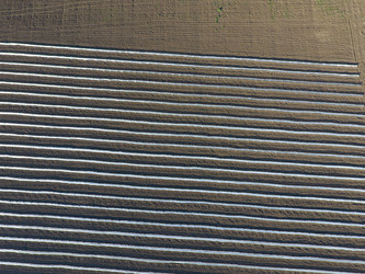 Similar image 13076506