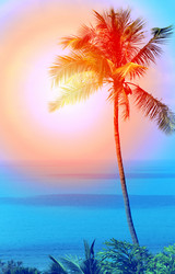 Similar image 13077937