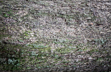 Similar image 13077943