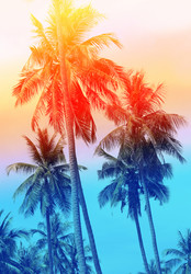 Similar image 13077944