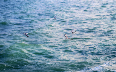 Similar image 13077945