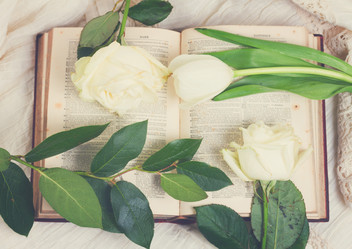 Similar image 13088856