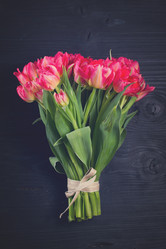 Similar image 13088880