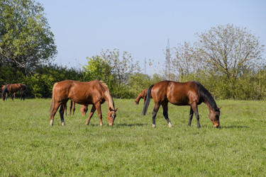 Similar image 13090190