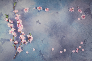 Similar image 13088944