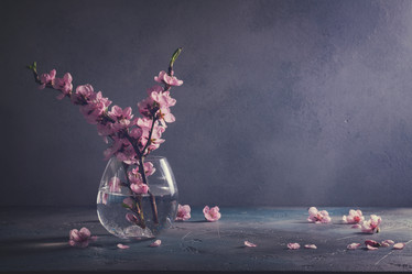 Similar image 13088960