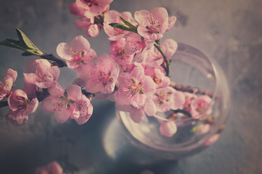 Similar image 13088961