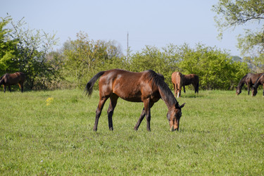 Similar image 13090354