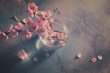 Similar image 13088962