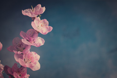 Similar image 13088963