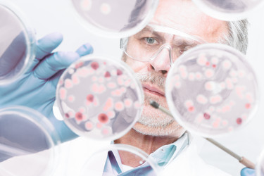 Similar image 13089249