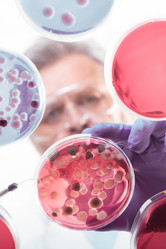 Similar image 13089250