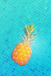 Similar image 13088924