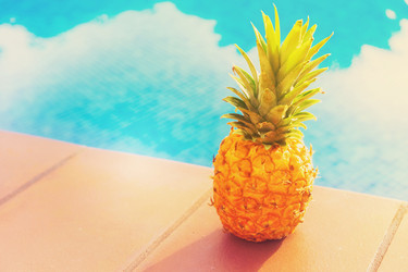 Similar image 13088925