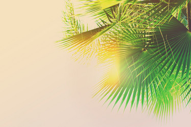 Similar image 13088968