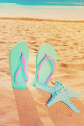 Similar image 13089002