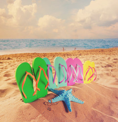 Similar image 13089003