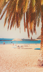 Similar image 13089004