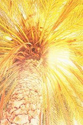 Similar image 13089005