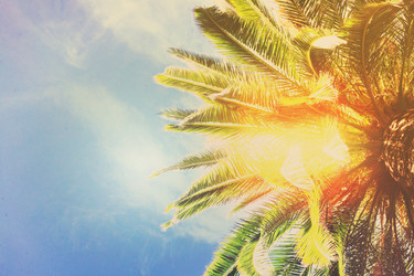 Similar image 13089021