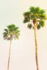 Similar image 13089026