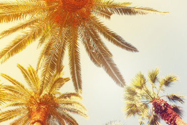 Similar image 13089027