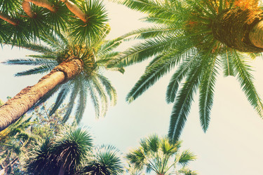 Similar image 13089028