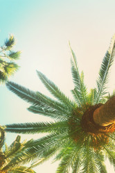 Similar image 13089039