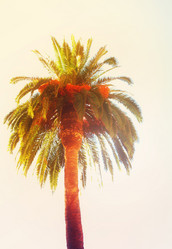 Similar image 13089040