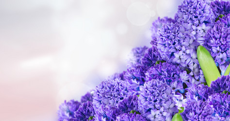 Similar image 13089169