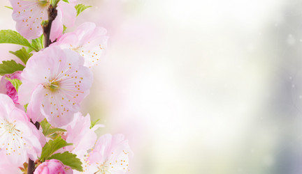 Similar image 13089174