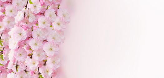 Similar image 13088848