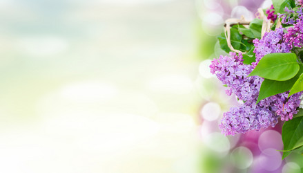 Similar image 13088849