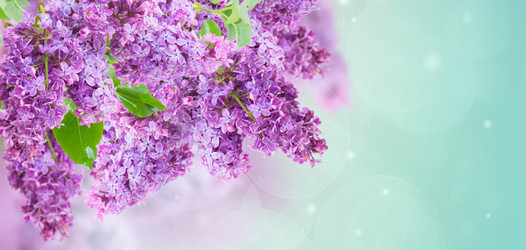 Similar image 13088850